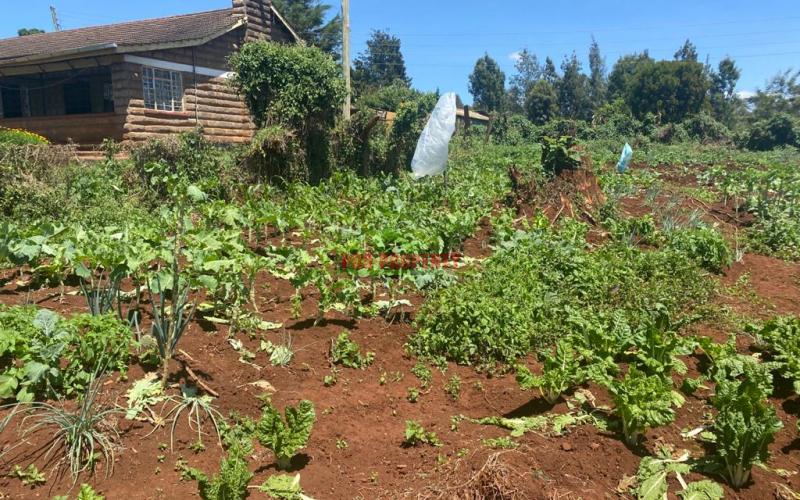 Residential Plot For Sale In Kikuyu, Ondiri.