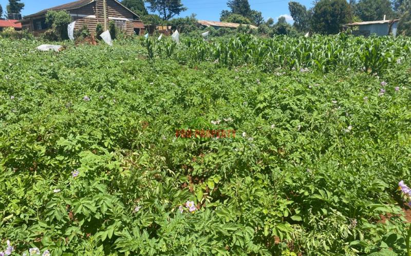 Residential Plot For Sale In Kikuyu, Ondiri.