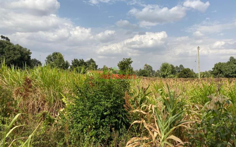 Prime Plot For Sale In Thogoto