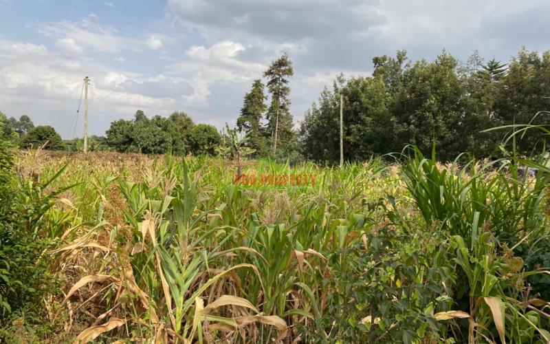 Prime Plot For Sale In Thogoto