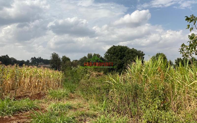 Prime Plot For Sale In Thogoto