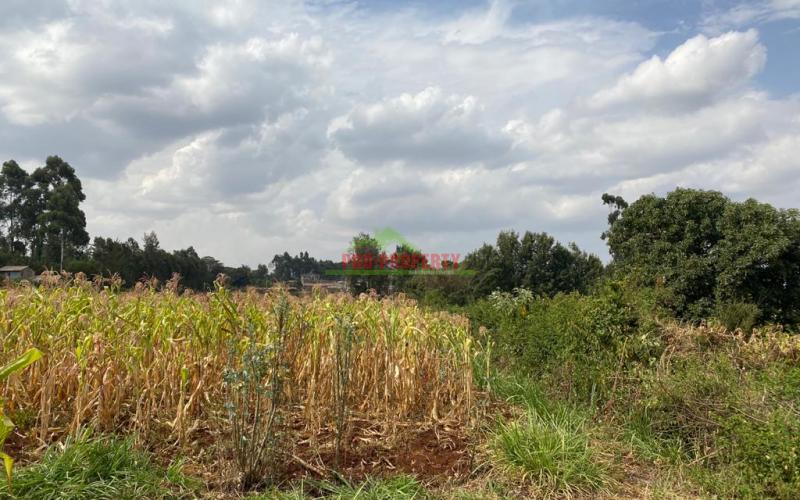 Prime Plot For Sale In Thogoto