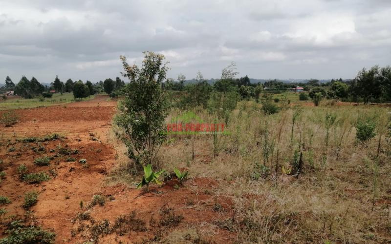 Prime Vacant Land For Sale In Kamangu Kikuyu