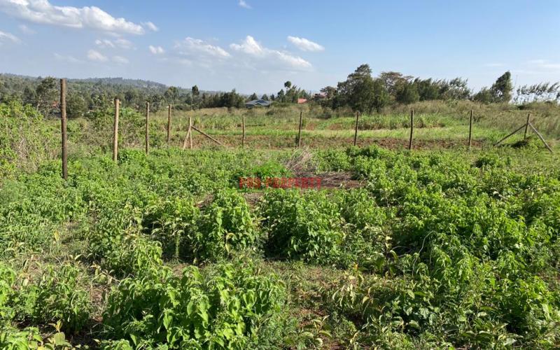 Residential Plots For Sale In Kikuyu, Lusigetti.
