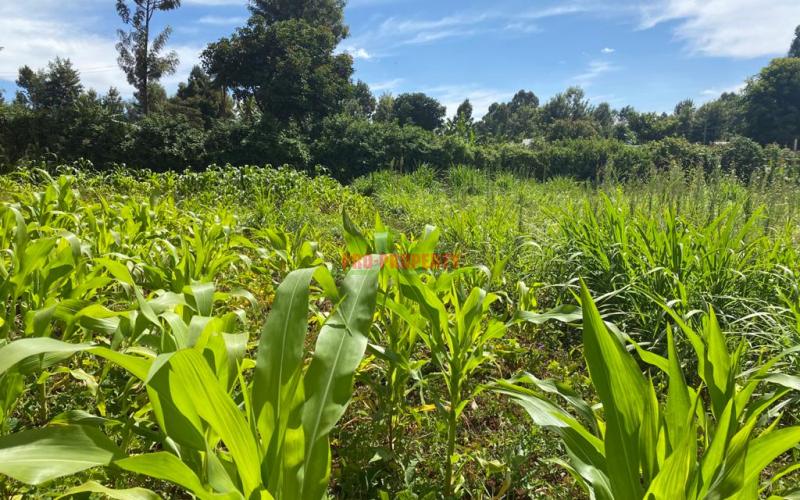 Commercial  Plot For Sale In Kikuyu Thogoto ( Southern Bypass).