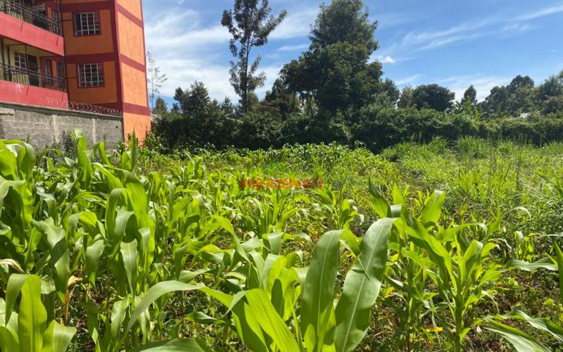 Commercial  Plot For Sale In Kikuyu Thogoto ( Southern Bypass).
