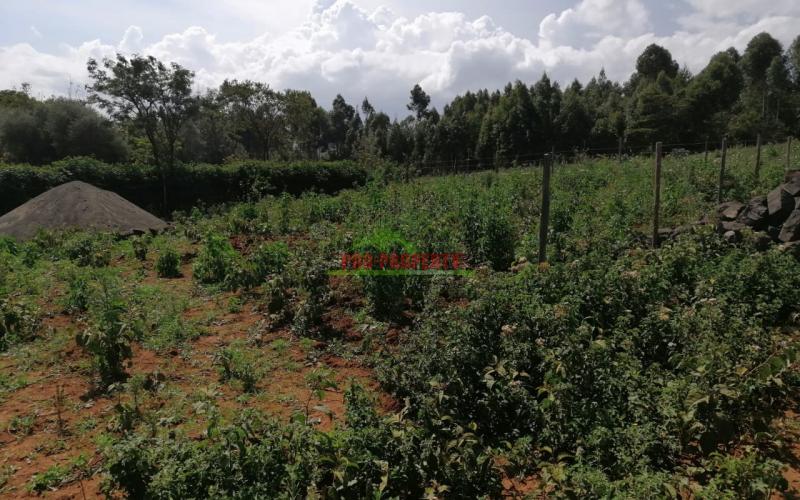 Prime Residential Plot For Sale In Kikuyu, Kamangu.