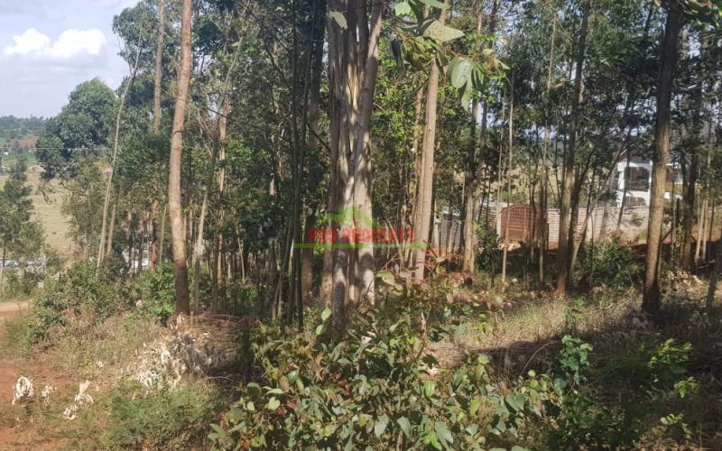 Prime Residential Vacant Land For Sale In Gikambura Kikuyu