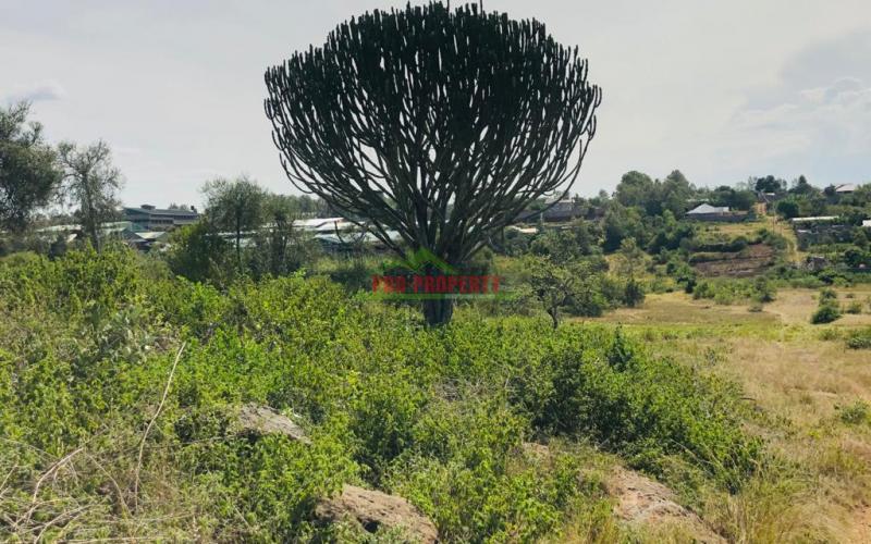 Prime Residential Plots For Sale In Thika, Gatuanyaga.