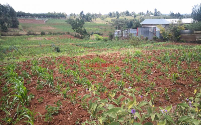 Residential Plot For Sale In Kamangu