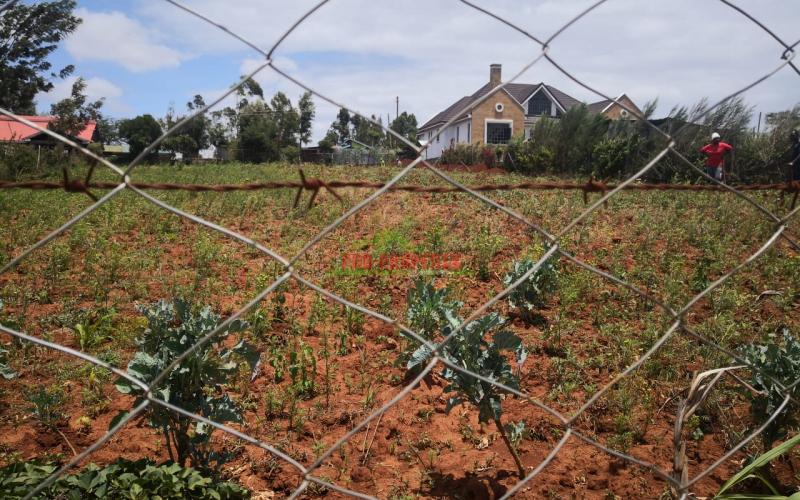 Residential Plot For Sale In Kamangu