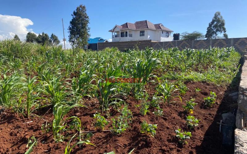 Residential Plot For Sale In Kikuyu, Kamangu.