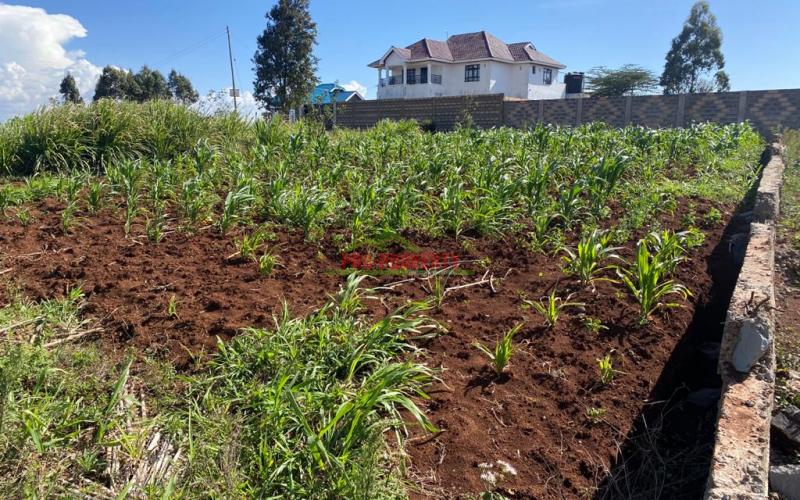 Residential Plot For Sale In Kikuyu, Kamangu.