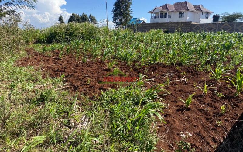 Residential Plot For Sale In Kikuyu, Kamangu.
