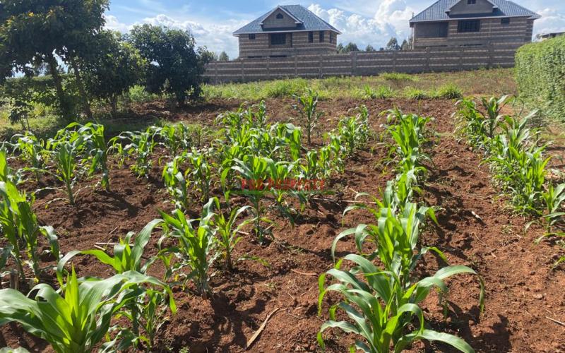 Residential Plot For Sale In Kikuyu, Kamangu.