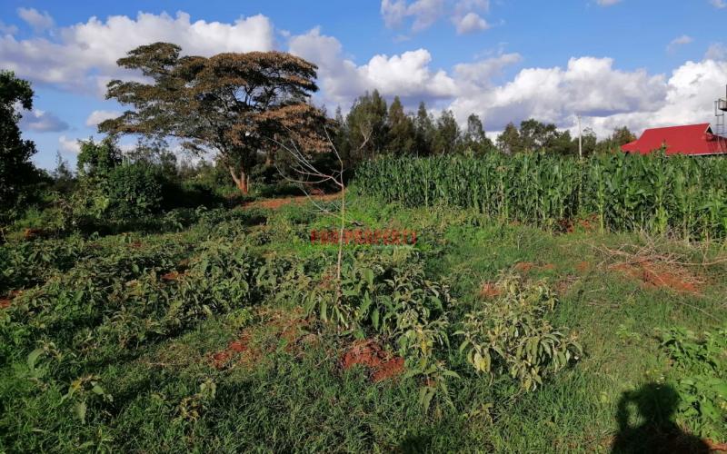 Prime Residential Plot For Sale In Kikuyu, Gikambura.
