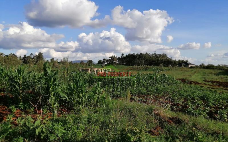 Prime Residential Plot For Sale In Kikuyu, Gikambura.