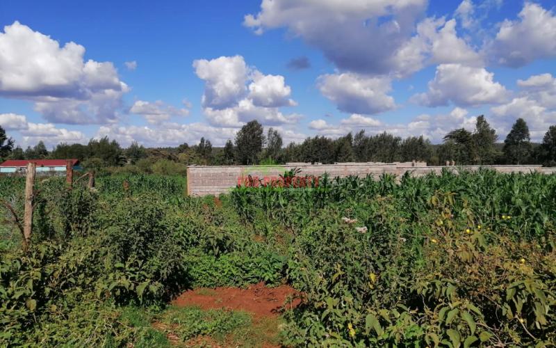 Residential Plot For Sale In Kikuyu, Gikambura.
