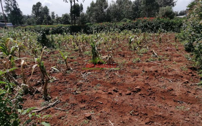 Prime Residential Plot For Sale In Kikuyu, Gikambura.