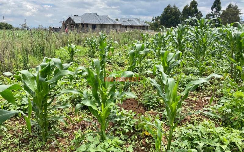 Prime Residential Plot For Sale In Kikuyu Kamangu.
