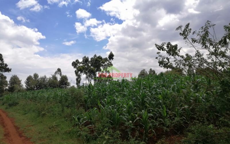 Available Plots For Sale In Kikuyu, Kamangu.