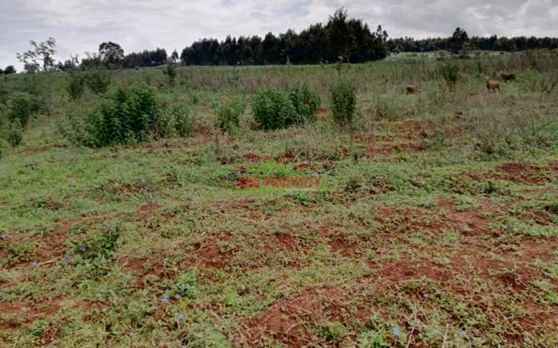 Prime Plots For Sale In Kikuyu, Kamangu.