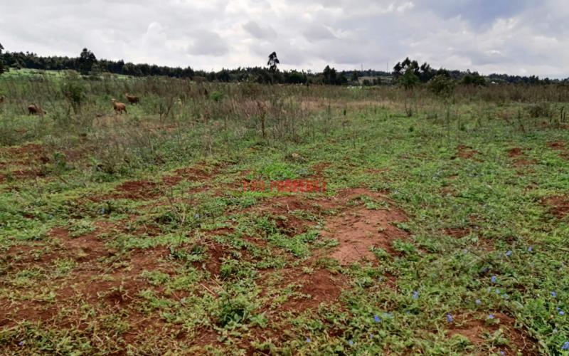 Prime Plots For Sale In Kikuyu, Kamangu.
