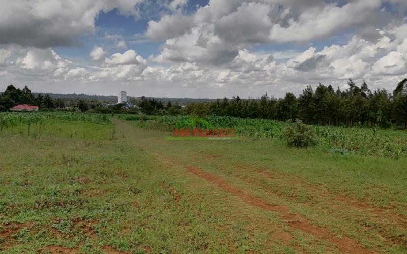Prime Plots For Sale In Kikuyu, Kamangu.