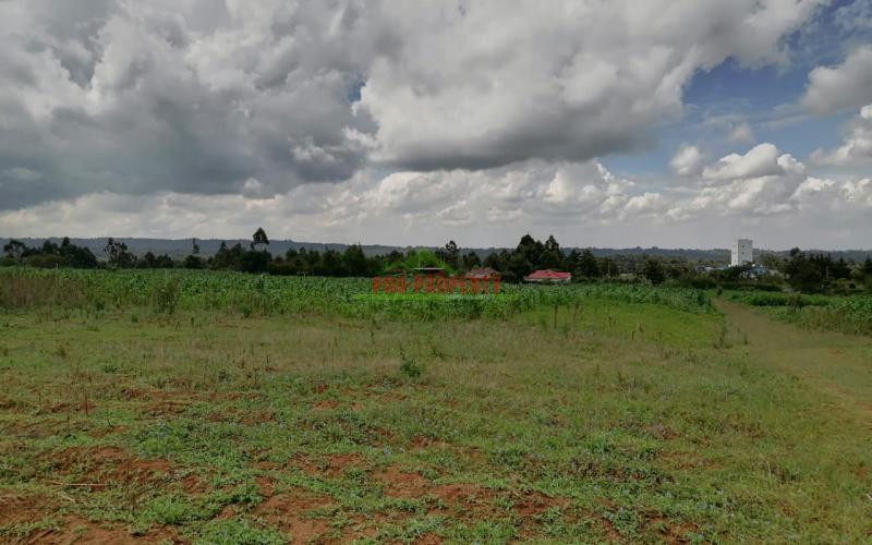Prime Plots For Sale In Kikuyu, Kamangu.