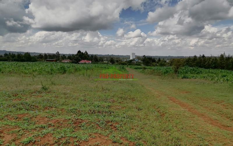 Prime Plots For Sale In Kikuyu, Kamangu.