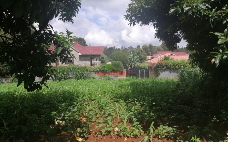Prime Plot For Sale In Kikuyu, Ondiri.