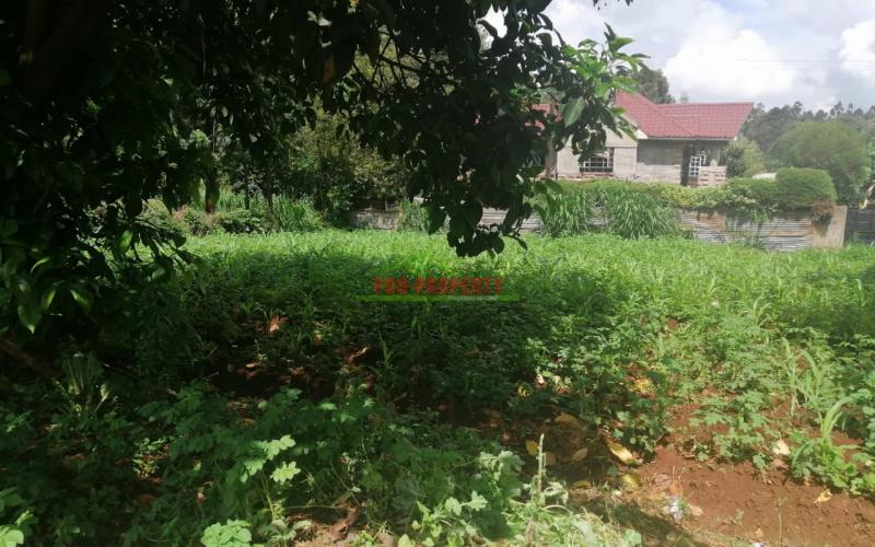 Prime Plot For Sale In Kikuyu, Ondiri.