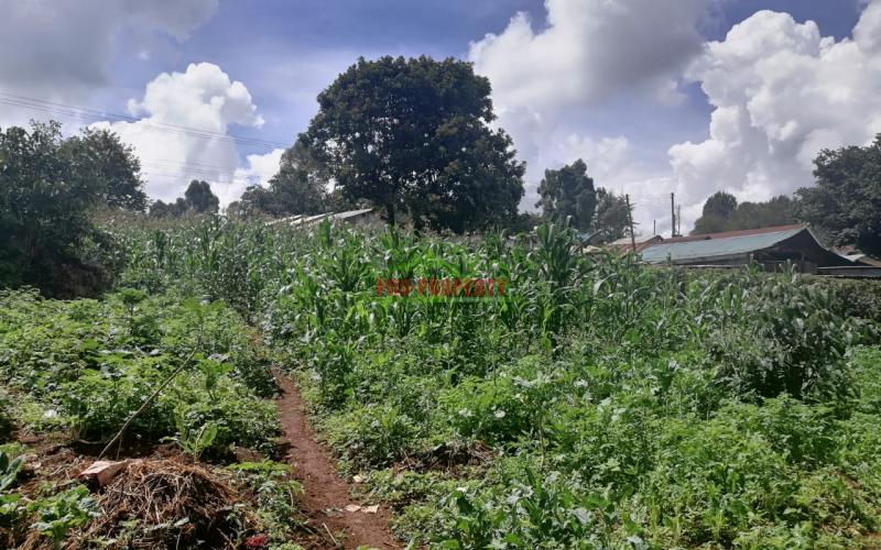 Prime Plot For Sale In Kikuyu, Ondiri.