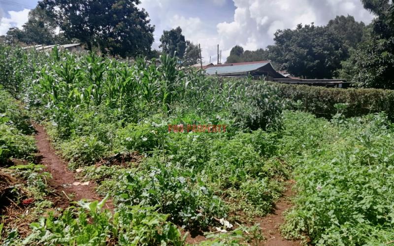 Prime Plot For Sale In Kikuyu, Ondiri.