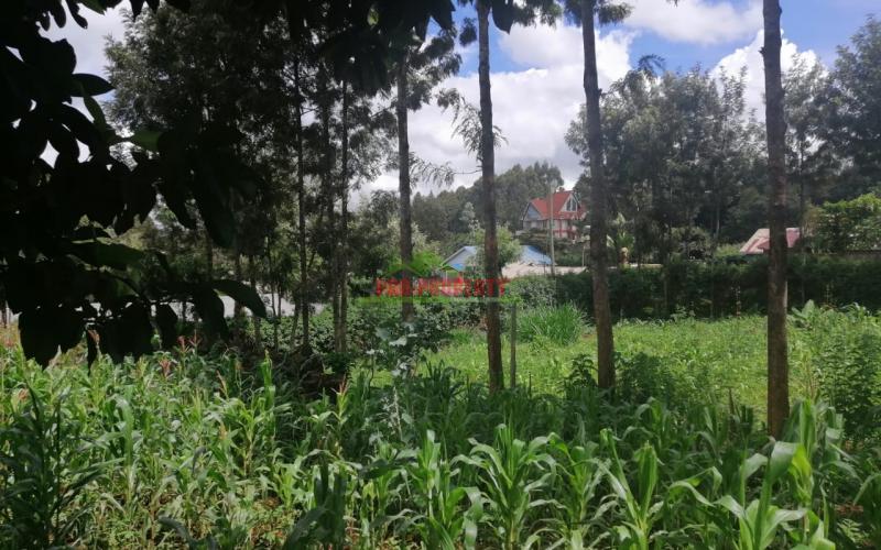 Prime Plot For Sale In Kikuyu, Ondiri.