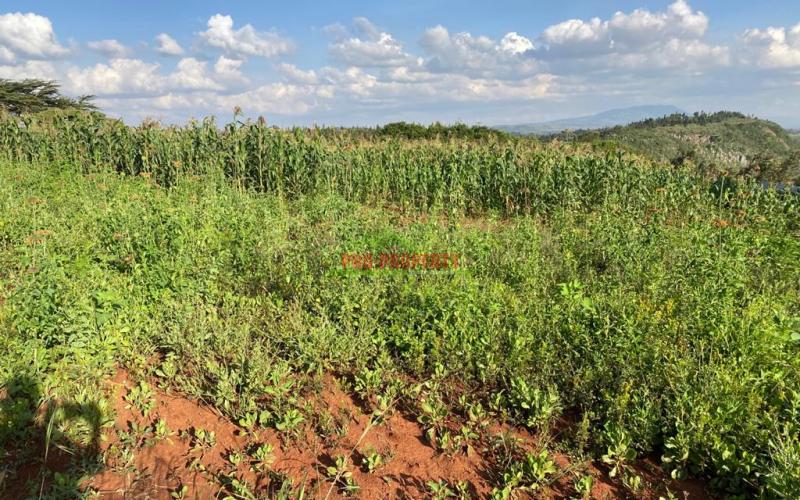 Plots For Sale In Kikuyu, Kamangu.