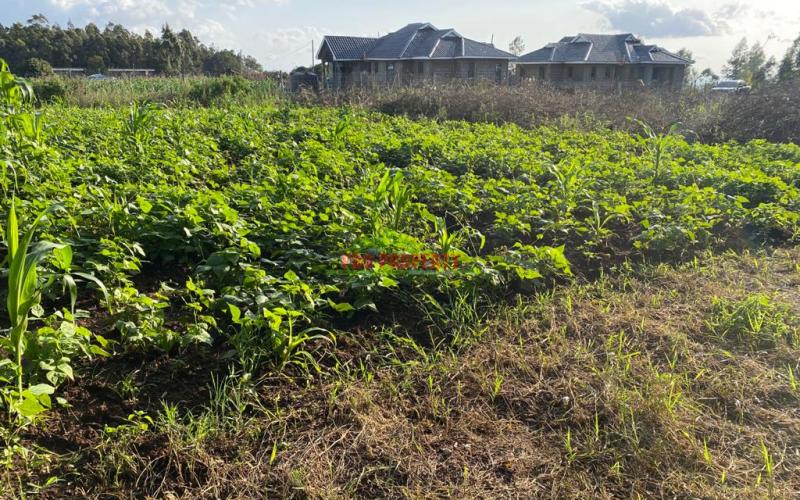 Prime Residential Plot For Sale In Kikuyu Kamangu.