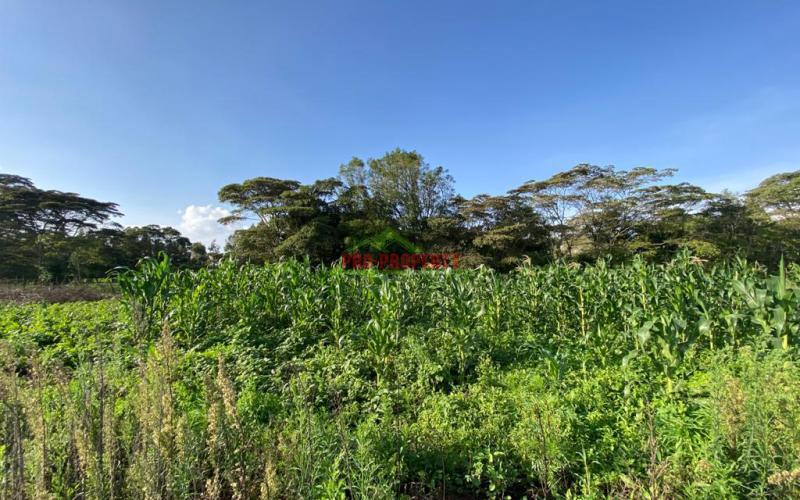 Prime Residential Plot For Sale In Kikuyu Kamangu.