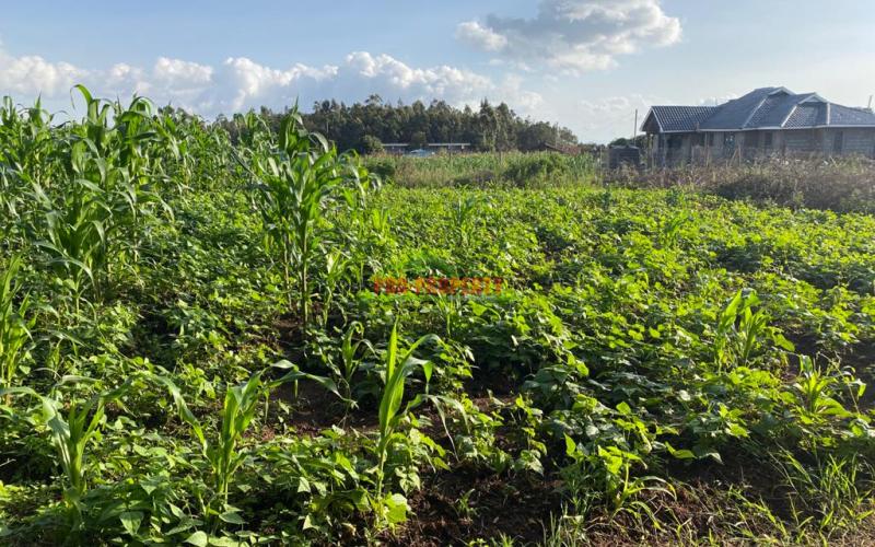 Prime Residential Plot For Sale In Kikuyu Kamangu.