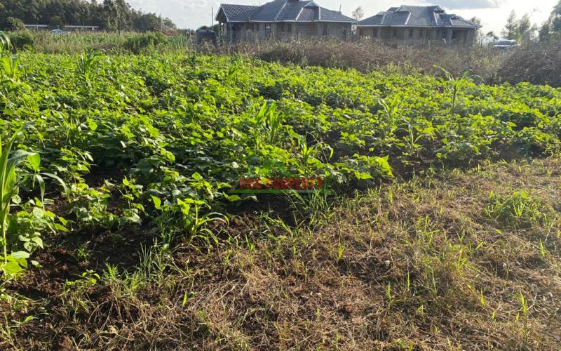 Prime Residential Plot For Sale In Kikuyu Kamangu.