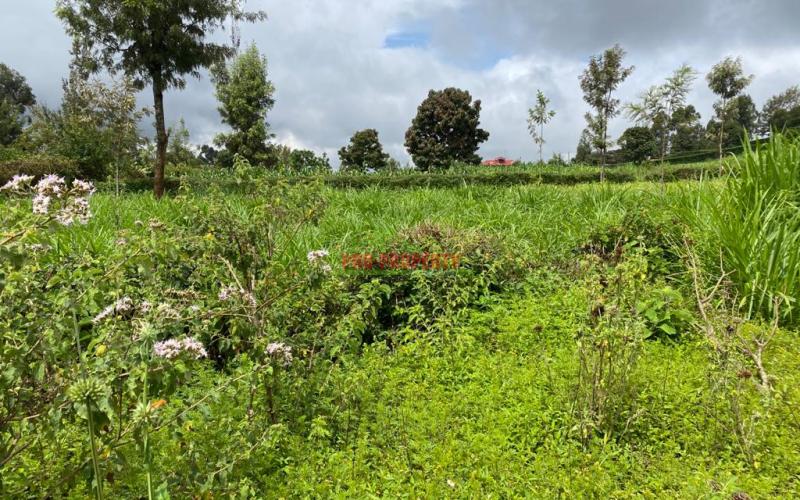 Prime Plot For Sale In Gikambura