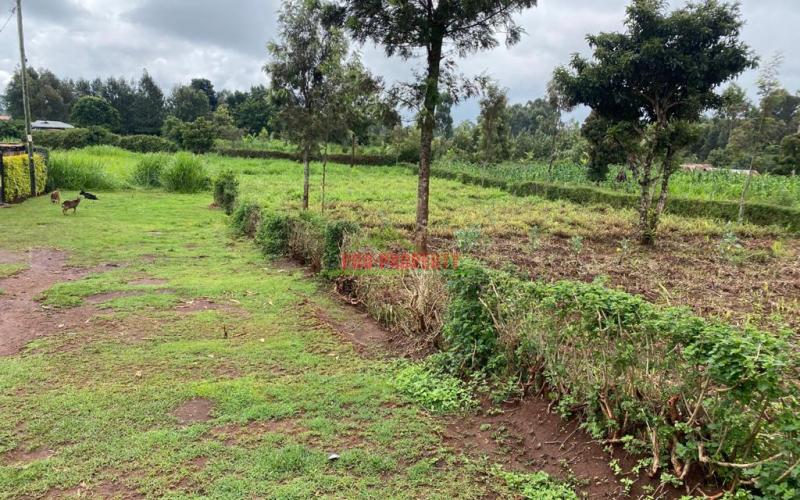 Prime Plot For Sale In Gikambura