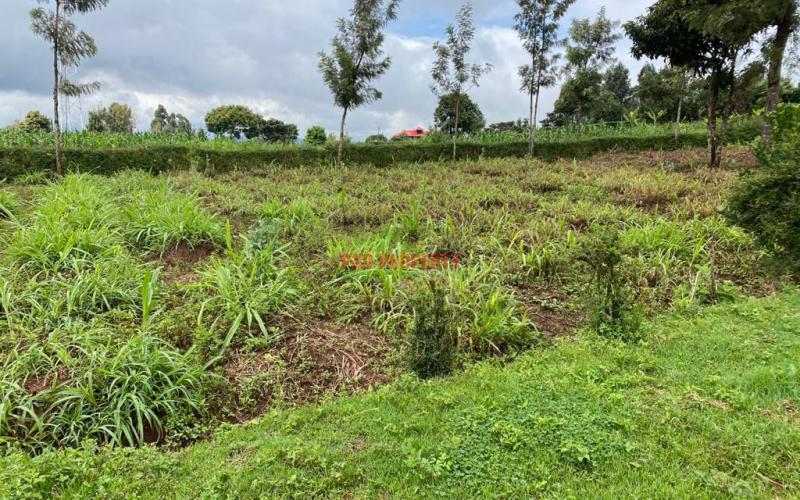 Prime Plot For Sale In Gikambura