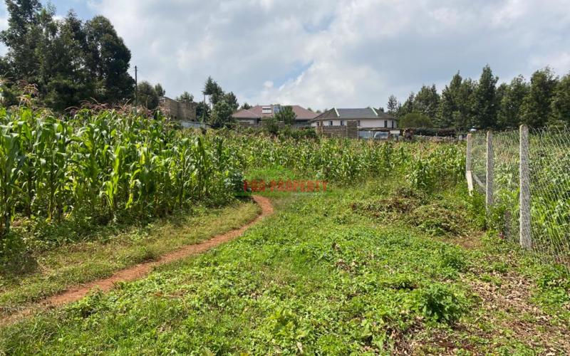 Prime Residential Plots For Sale In Muguga, Thamanda.