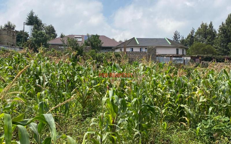 Prime Residential Plots For Sale In Muguga, Thamanda.