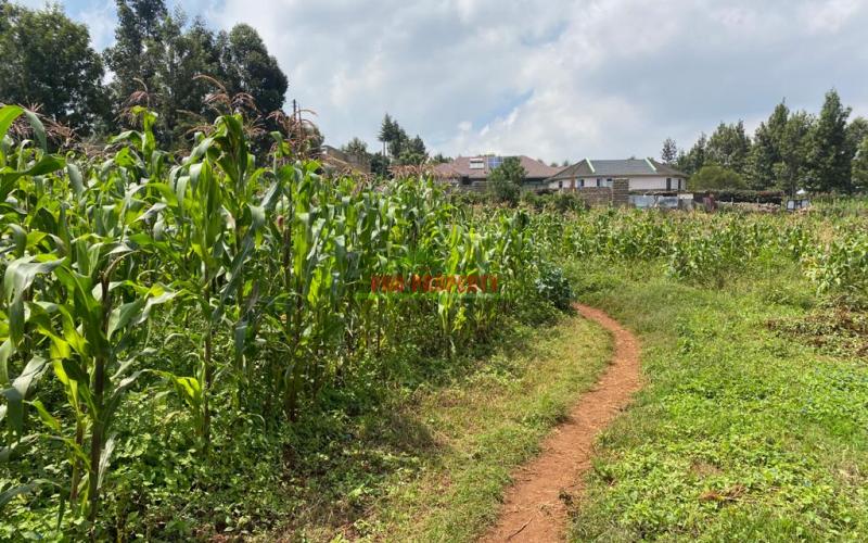 Prime Residential Plots For Sale In Muguga, Thamanda.