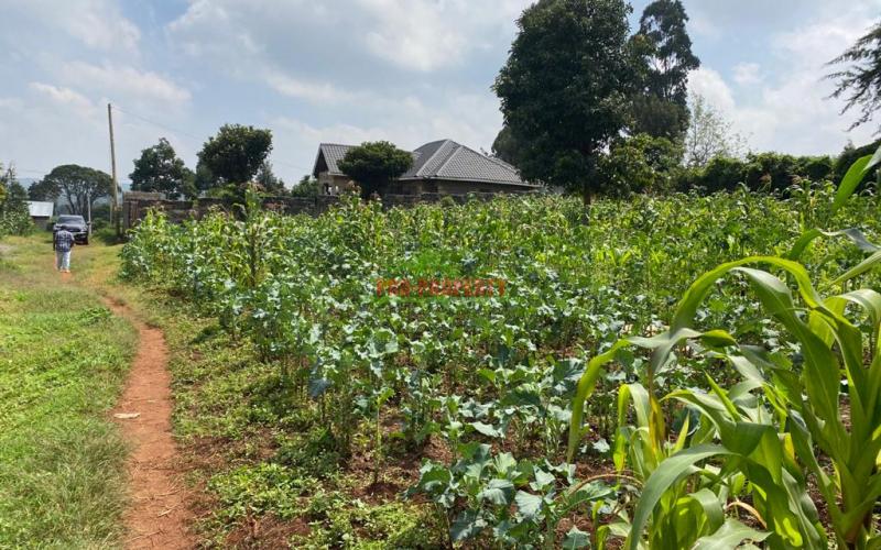 Prime Residential Plots For Sale In Muguga, Thamanda.