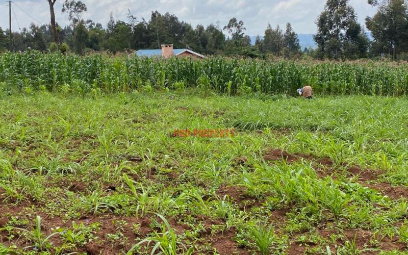 Land for Sale in Kamangu