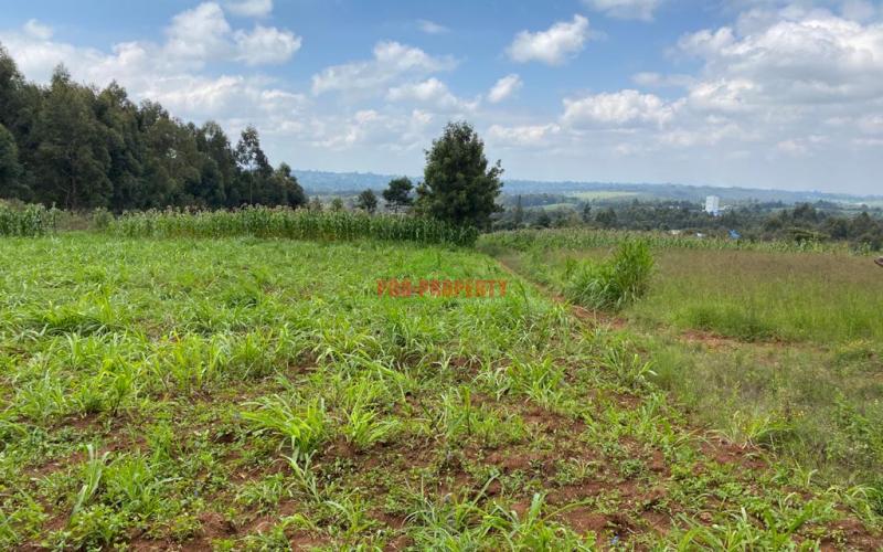 Land For Sale In Kamangu