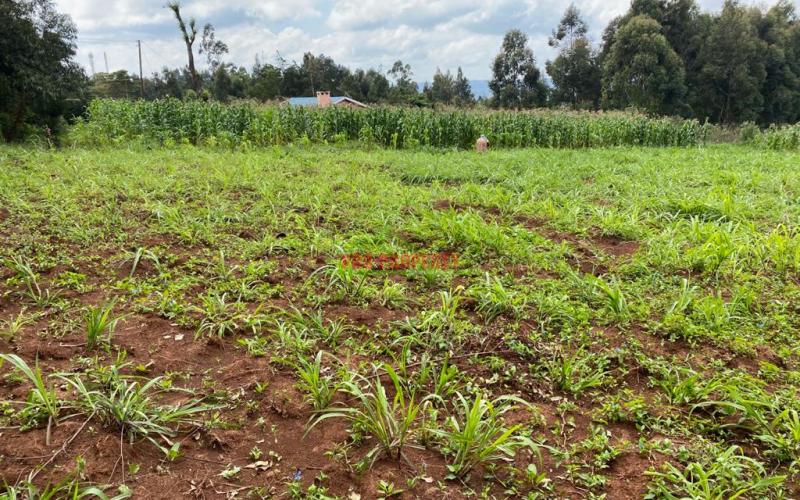 Land For Sale In Kamangu